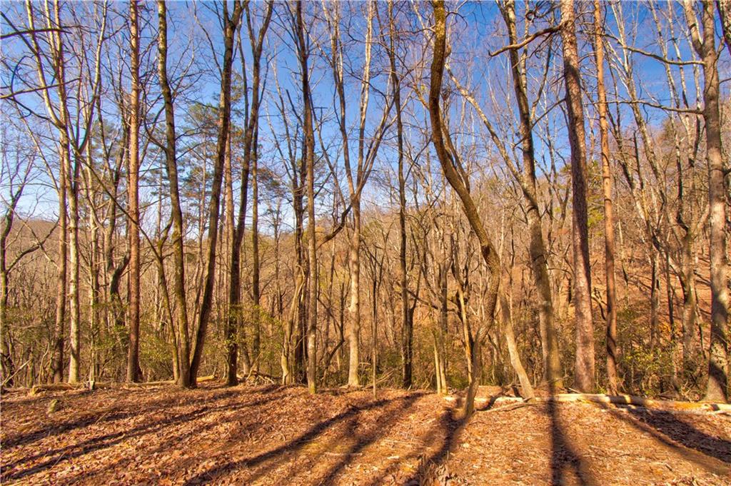 500 Chapman Ridge Lane, Dahlonega, Georgia image 9