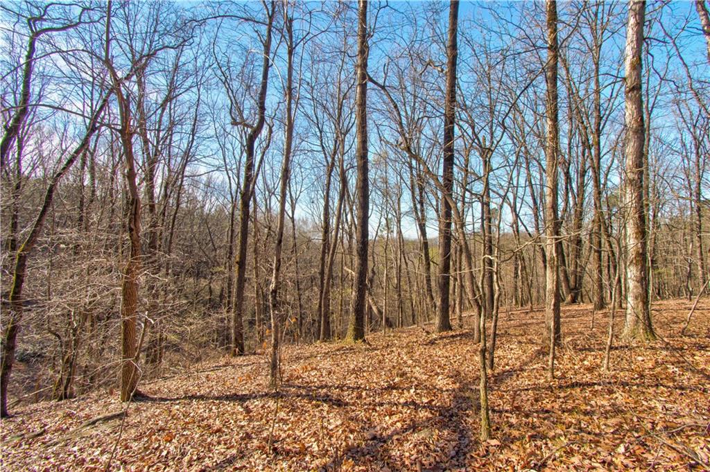 500 Chapman Ridge Lane, Dahlonega, Georgia image 1