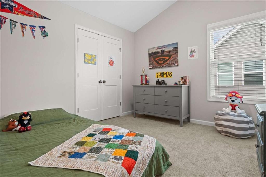 119 Cedar Park Way, Carrollton, Georgia image 33