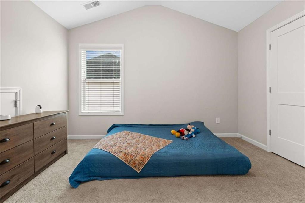 119 Cedar Park Way, Carrollton, Georgia image 34