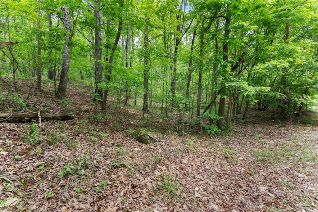 01 Long Mountain Road, Cleveland, Georgia image 6
