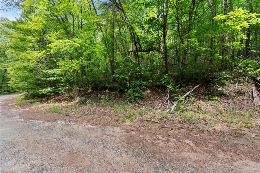 01 Long Mountain Road, Cleveland, Georgia image 2