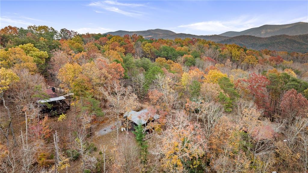 100 Smith Hill Road, Cherry Log, Georgia image 9
