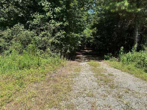Vacant Land For Sale - 305 Wildcat Road<br/> Haralson County, Buchanan, GA 30113