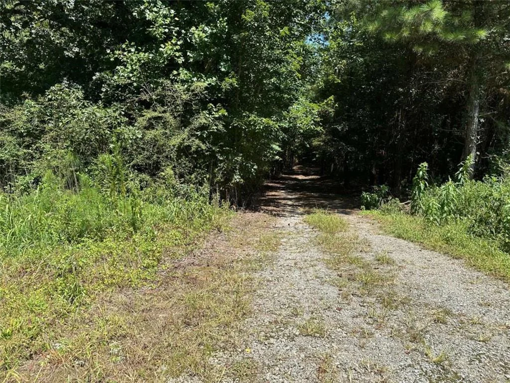 305 Wildcat Road, Buchanan, GA, 30113