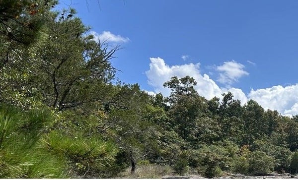2476 ROCKBRIDGE RD NW, CONYERS, GA 30012 - Image df65c64a4d215d59c8b8ddcf964f0ab8/2668624065