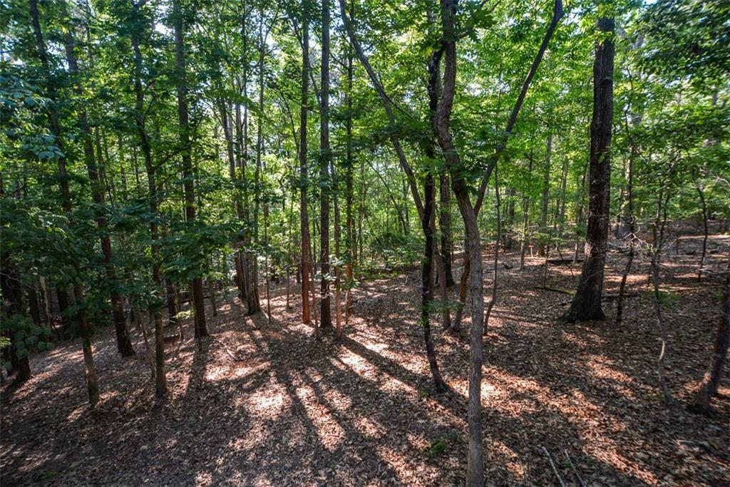 Eagle Watch - Residential