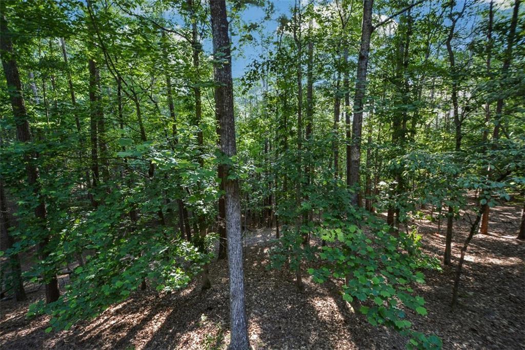 Eagle Watch - Residential