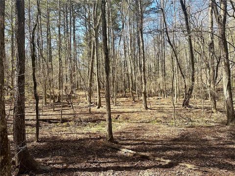 Vacant Land For Sale - 555 Larmon Forks Road<br/> Dahlonega, GA 30533