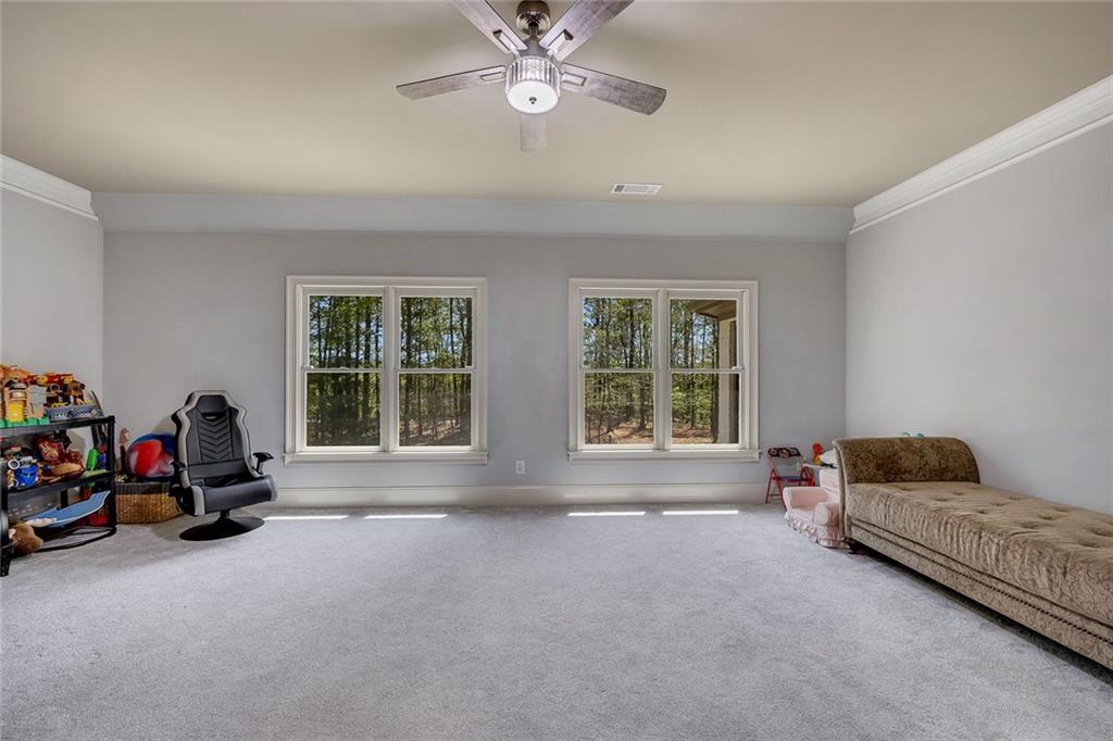 921 Accipiter Way, Ball Ground, Georgia image 49