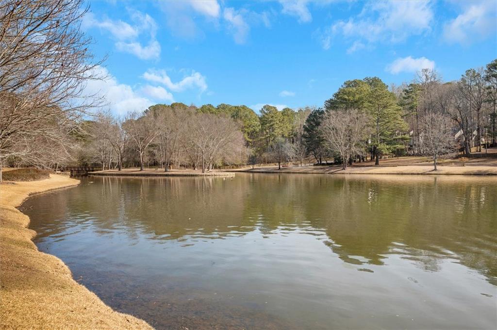 293 Quail Run, Roswell, Georgia image 37