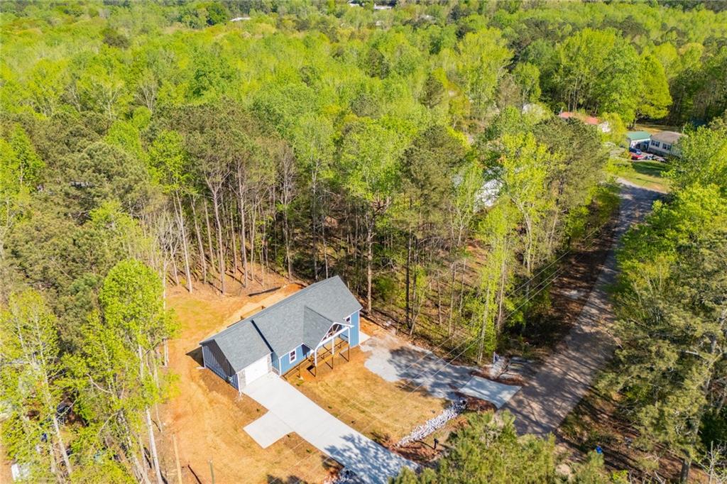 229 Old Hamilton Mills Road, Bremen, Georgia image 10