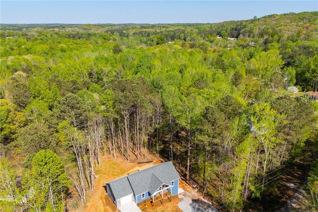 229 Old Hamilton Mills Road, Bremen, Georgia image 9