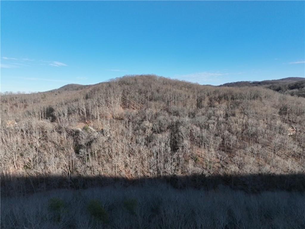 249 Andes Ridge, Ellijay, Georgia image 19