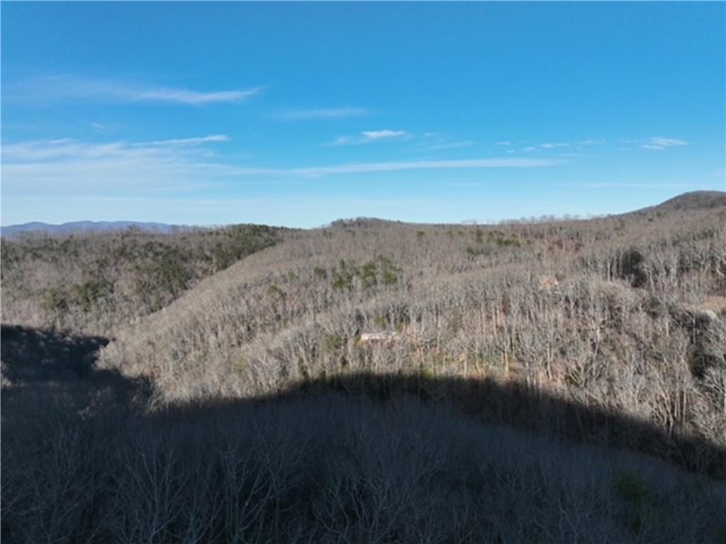 249 Andes Ridge, Ellijay, Georgia image 17