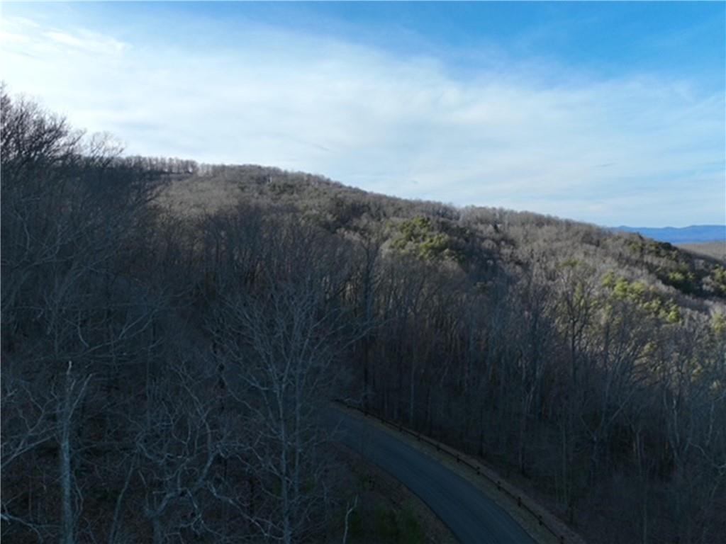 249 Andes Ridge, Ellijay, Georgia image 14