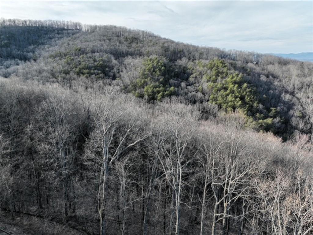 249 Andes Ridge, Ellijay, Georgia image 30