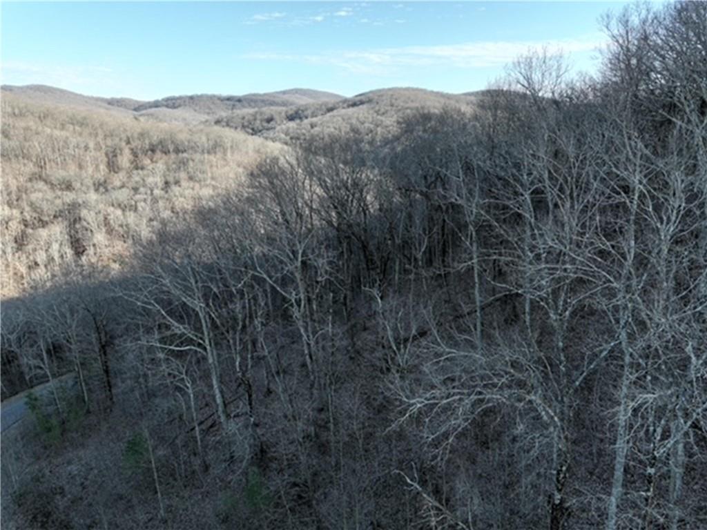 249 Andes Ridge, Ellijay, Georgia image 24