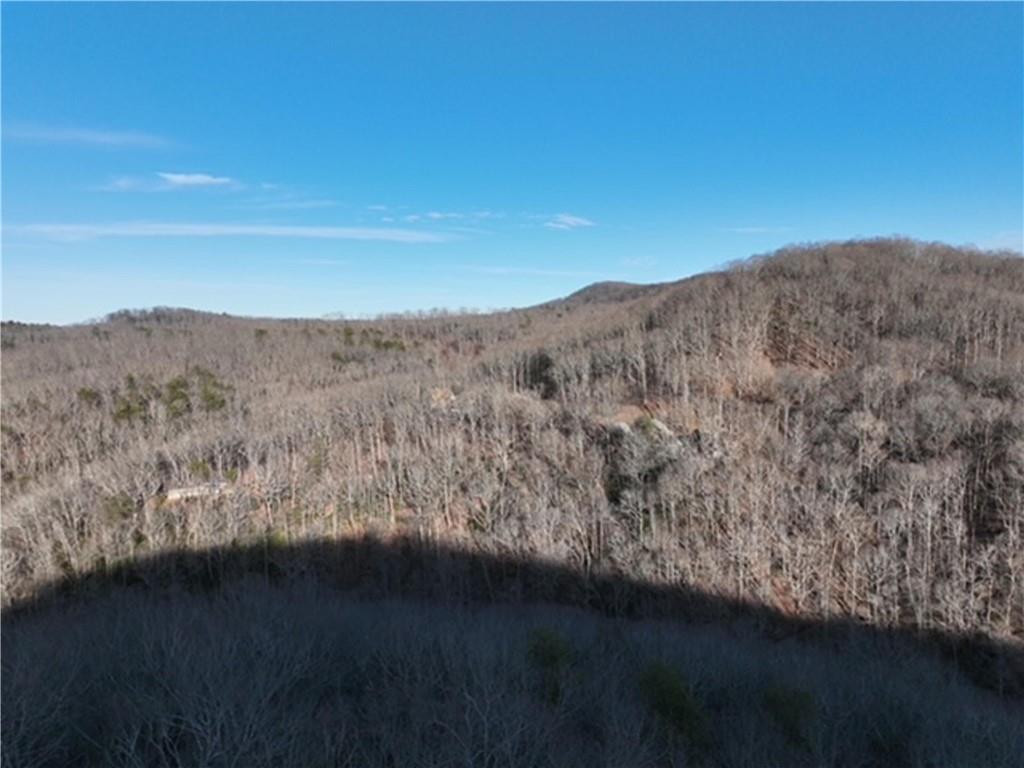 249 Andes Ridge, Ellijay, Georgia image 18