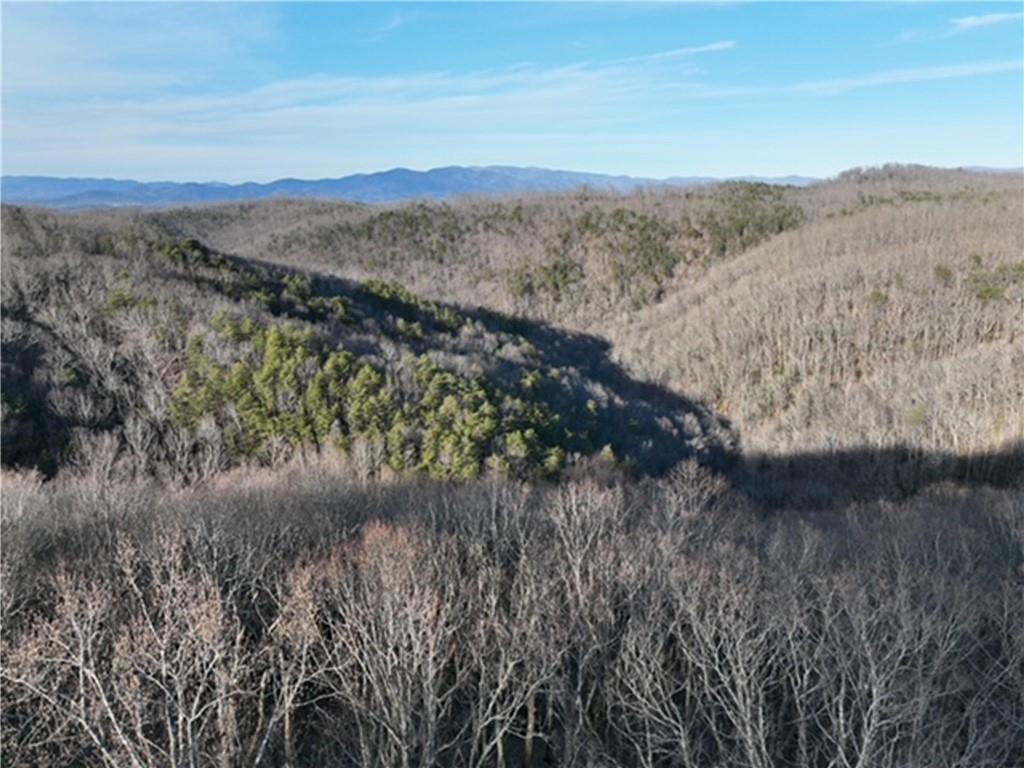 249 Andes Ridge, Ellijay, Georgia image 28