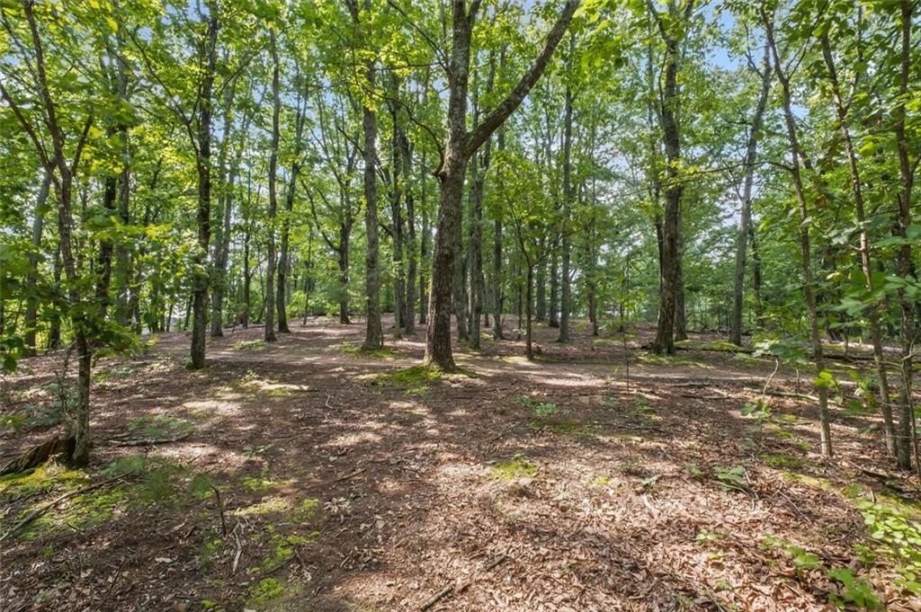 1706 BARNES MILL Road