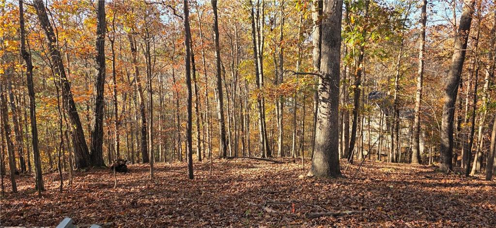 Twin Branches - Residential