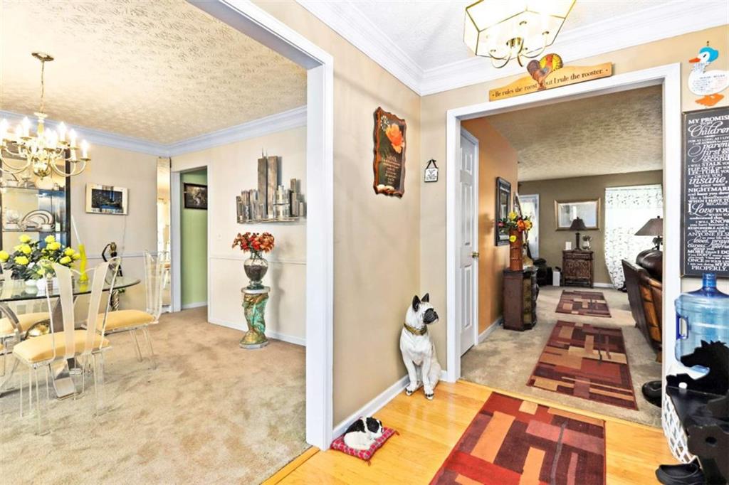 3104 Red Oak Trail