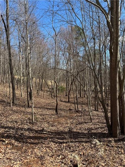 Vacant Land For Sale - 2526 Turnbury Lane<br/> Big Canoe, GA 30143