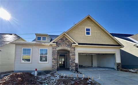 325 Conifer Lane Ball Ground GA 30107