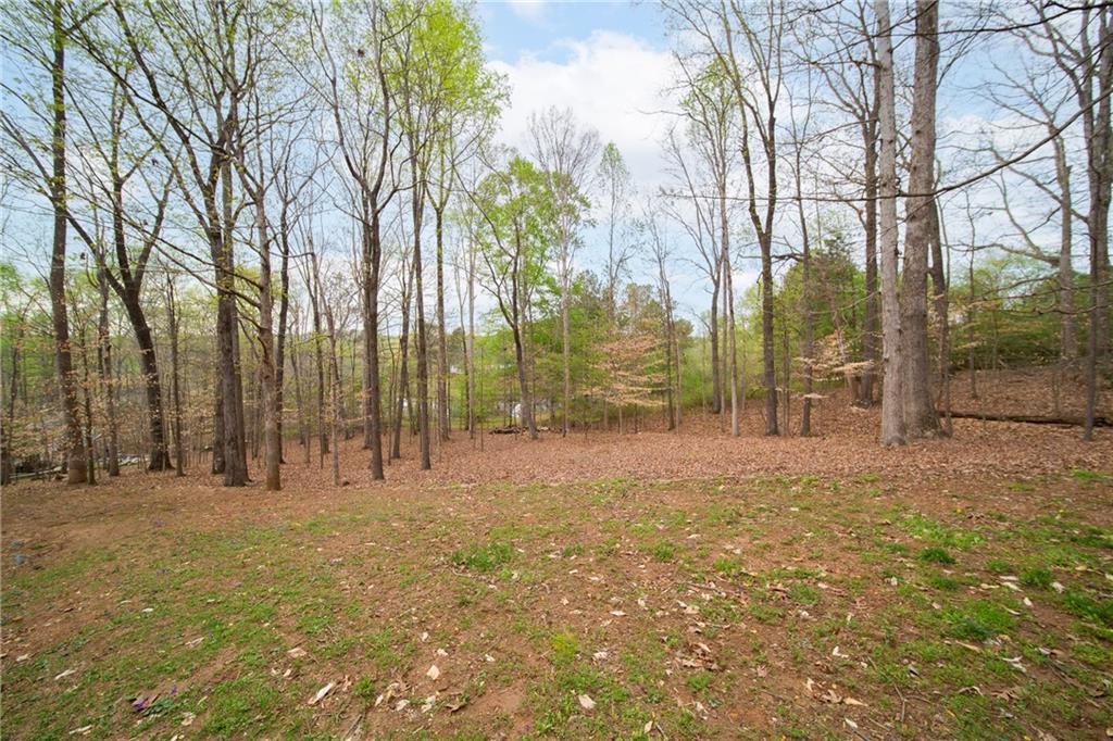 240 Wrights Mill Way, Canton, Georgia image 45