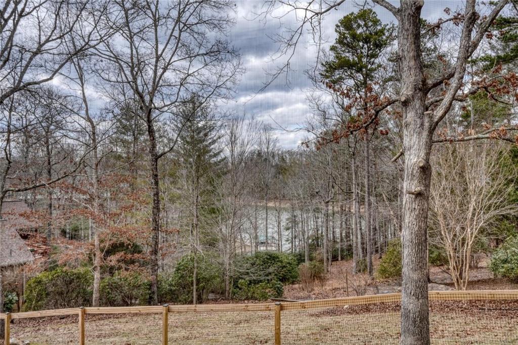 98 Osprey Drive, Blairsville, Georgia image 29