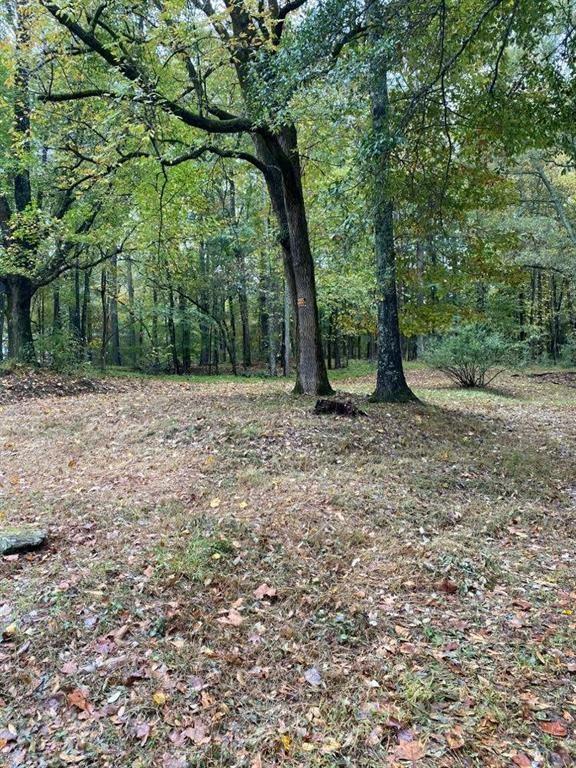15560 Hopewell Road, Milton, Georgia image 18