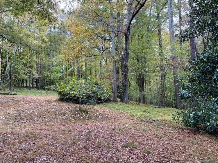 15560 Hopewell Road, Milton, Georgia image 23