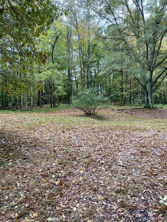 15560 Hopewell Road, Milton, Georgia image 47