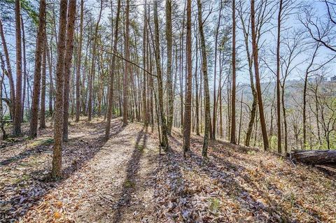 Vacant Land For Sale - Westview Drive<br/> Jasper, GA 30143