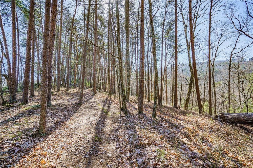 This rare opportunity to own the ridge and cul-de-sac offers extreme privacy and long-range vista views. The babbling Scarecorn Creek and stunning mountain views border this 13.1-acre property. The property's potential homesites are easily accessible along the ridge from the trail path that could serve as your driveway. Situate your new home to capture a bird's eye view of the iconic Sharp Mtn or long-range views of the North Georgia mountains. You can even have a family compound on these two lots, with each home having its own spectacular view. Soil tests have been performed. The Preserve at Sharp Mountain is a unique community that emphasizes the preservation of natural mountain beauty. Additionally, it is a well-run homeowner's association. Located 45 miles from Atlanta, offering the perfect escape from city life while still being close enough to remain connected. This prestigious gated community is surrounded by 1600 acres of natural preserves, including parks, waterfalls, hiking trails, open-air lodges, ponds, and creeks. Charming downtown Jasper, local retailers, restaurants, and hospitals are just a short 10-minute drive away. And with nearby wineries, apple houses, and Carters Lake, there's always something to explore in this quiet community!
