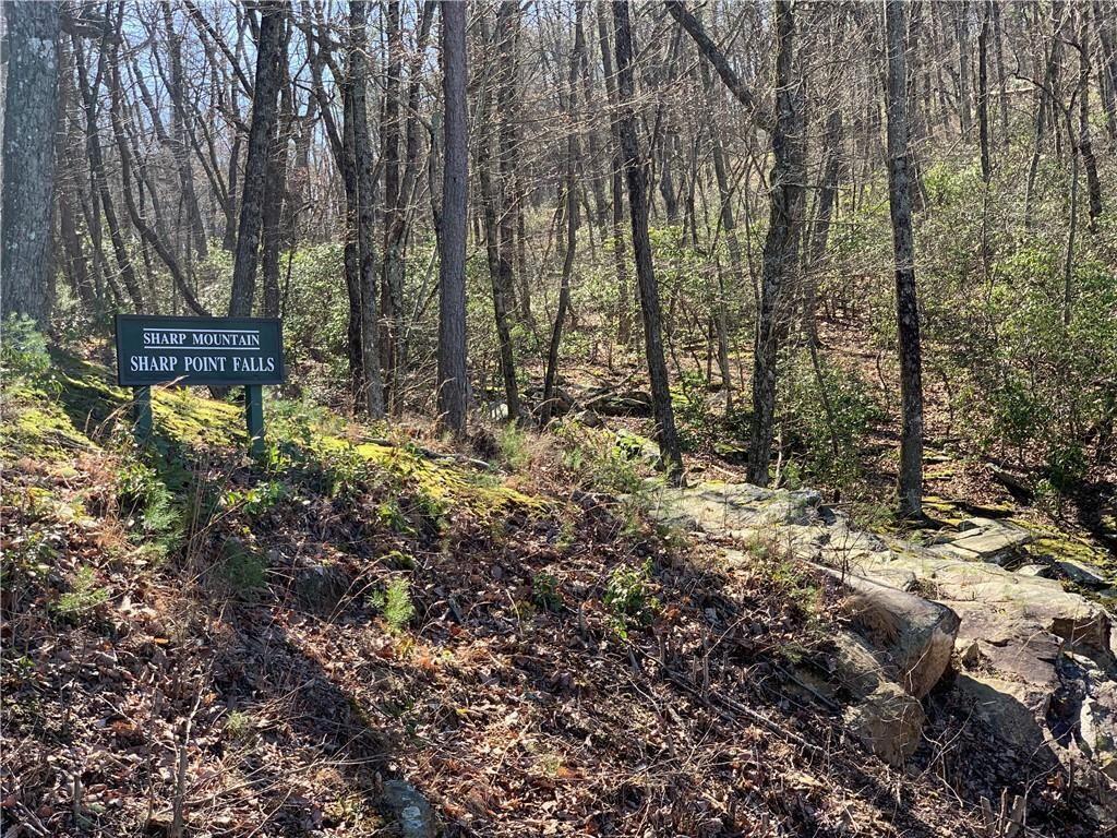 The Preserve at Sharp Mountain - Land