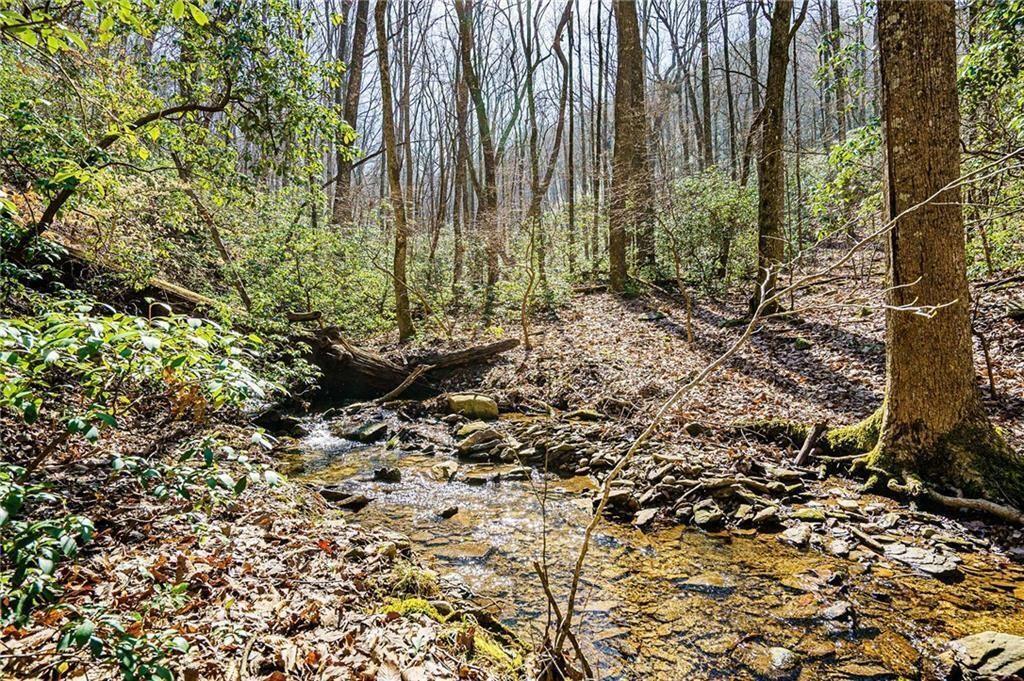 The Preserve at Sharp Mountain - Land