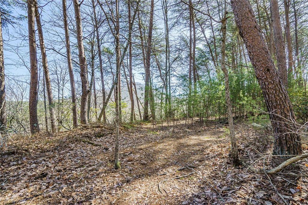 The Preserve at Sharp Mountain - Land