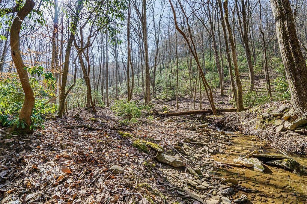 The Preserve at Sharp Mountain - Land