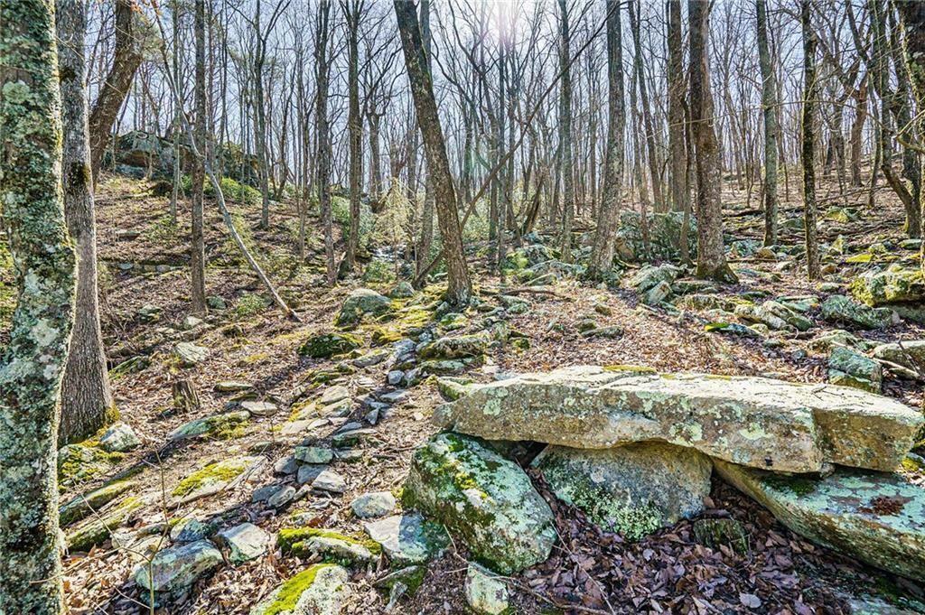 The Preserve at Sharp Mountain - Land