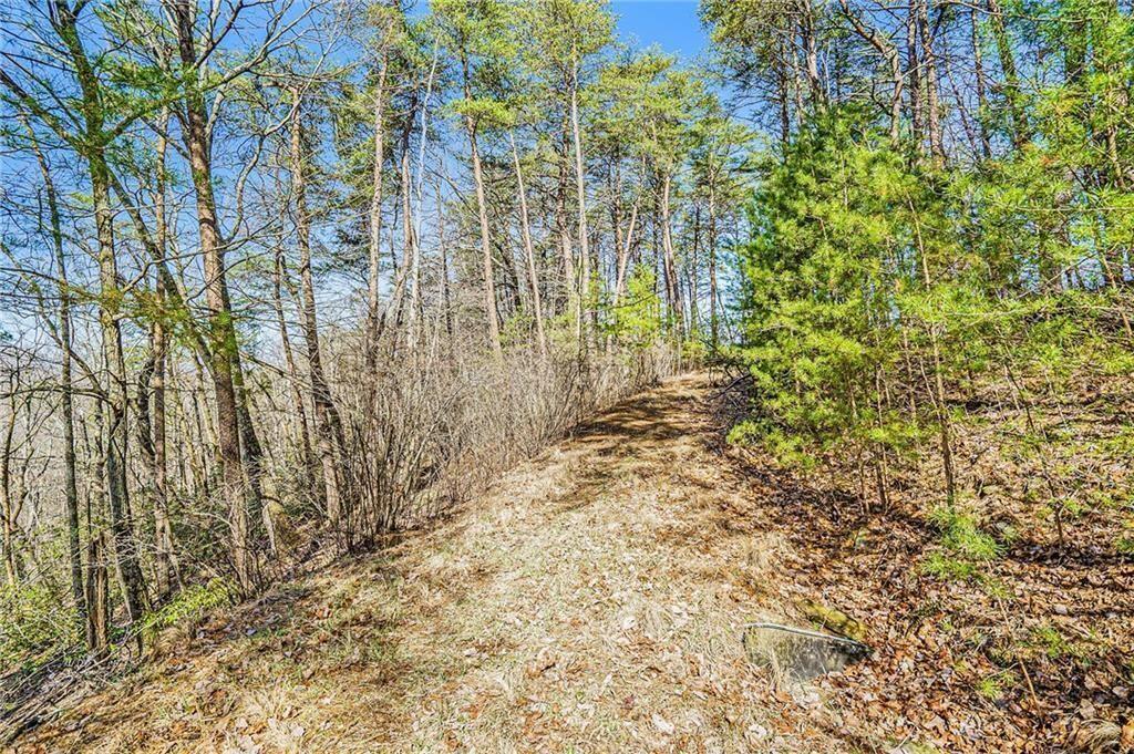 The Preserve at Sharp Mountain - Land