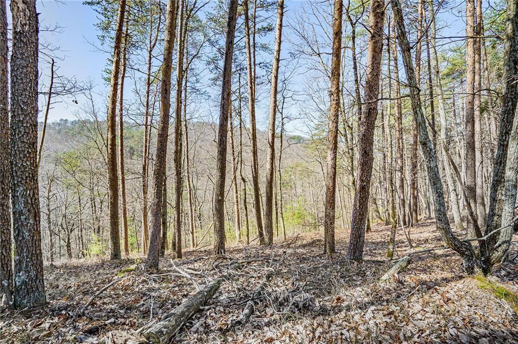 The Preserve at Sharp Mountain - Land