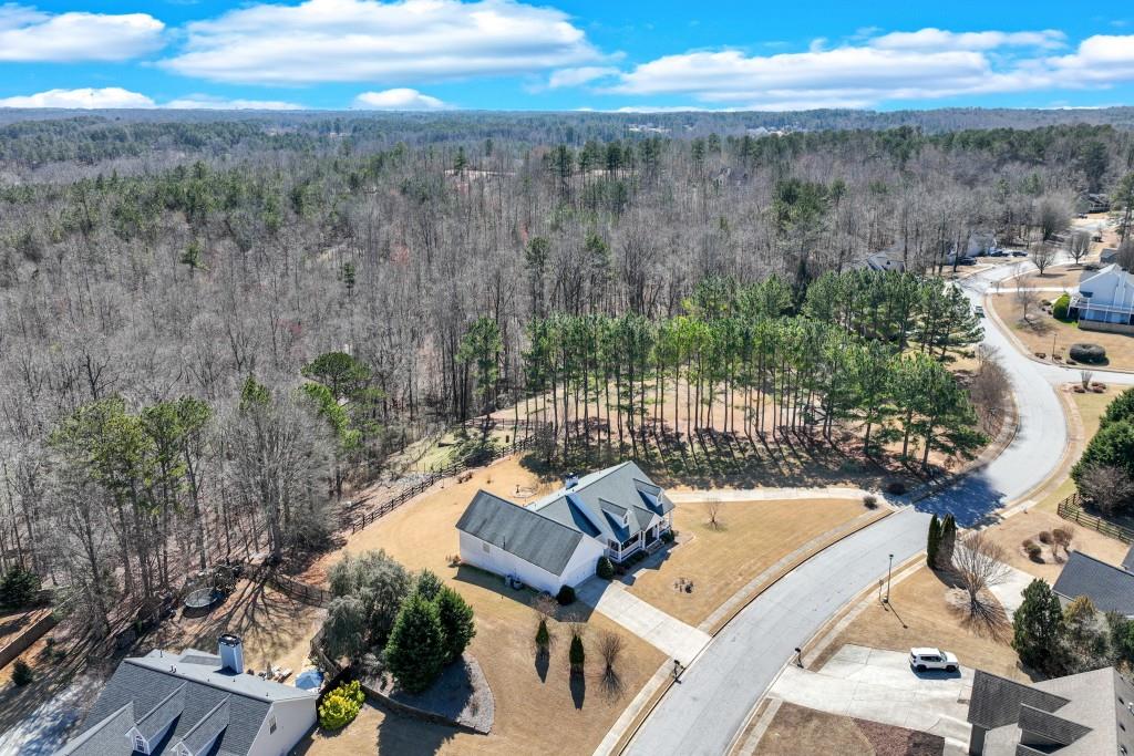 4623 Mulberry Fields Ln, Auburn, Georgia image 7