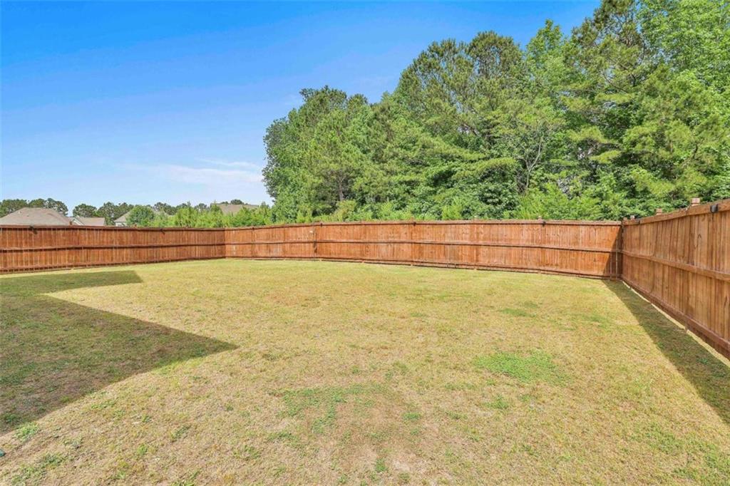 8 Unbridled Way Way, Newnan, Georgia image 46