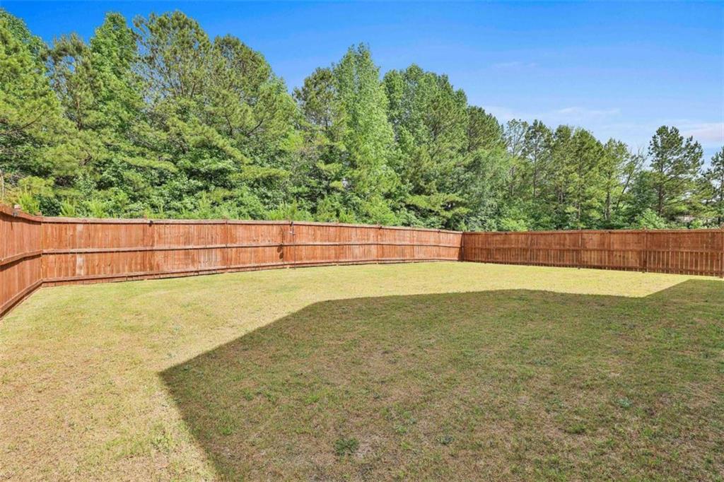 8 Unbridled Way Way, Newnan, Georgia image 49