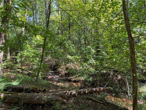 Vacant Land For Sale - LT 32 Mission Hill Road<br/> Ellijay, GA 30540