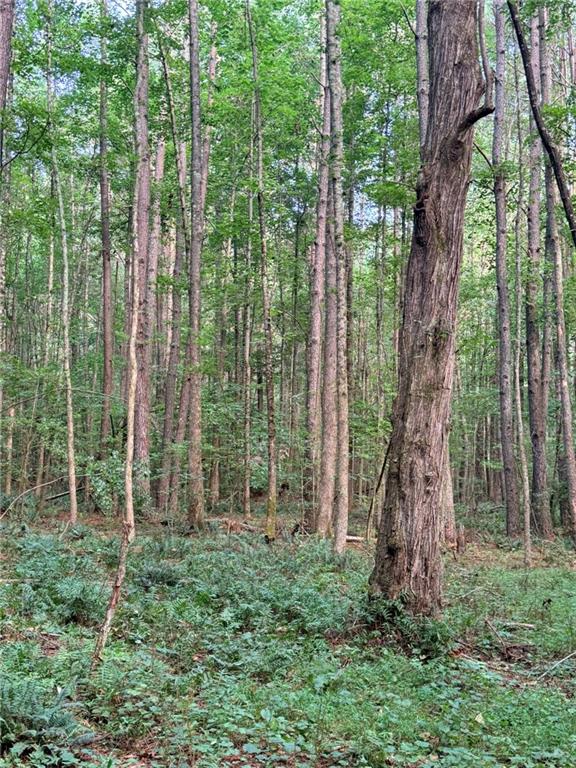Lot 19 Henderson Mountain Road