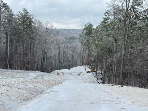 1632 Sperin Road Ball Ground GA 30107