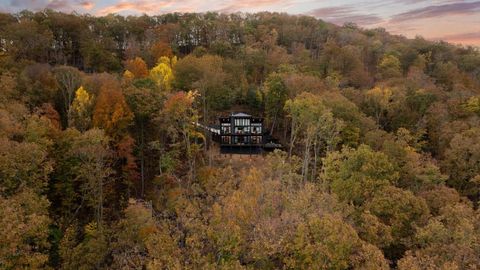 A home in Blue Ridge